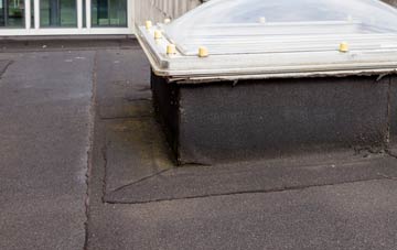 disadvantages of Wolferd Green flat roofs