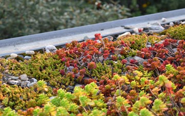 the cost of Wolferd Green green roof installation