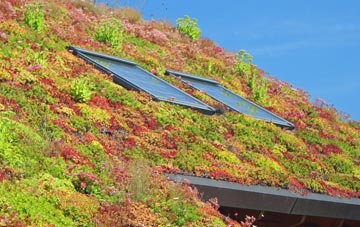 Wolferd Green living roof systems